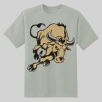 Dry Zone ® Short Sleeve Raglan T Shirt Thumbnail