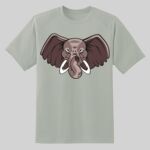 Dry Zone ® Short Sleeve Raglan T Shirt Thumbnail