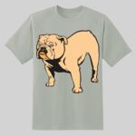 Dry Zone ® Short Sleeve Raglan T Shirt Thumbnail