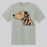 Dry Zone ® Short Sleeve Raglan T Shirt Thumbnail