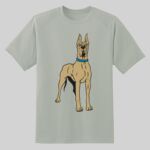 Dry Zone ® Short Sleeve Raglan T Shirt Thumbnail