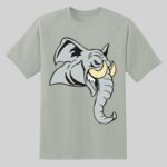 Dry Zone ® Short Sleeve Raglan T Shirt Thumbnail