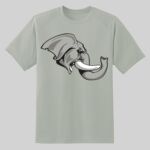 Dry Zone ® Short Sleeve Raglan T Shirt Thumbnail