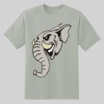 Dry Zone ® Short Sleeve Raglan T Shirt Thumbnail