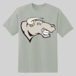 Dry Zone ® Short Sleeve Raglan T Shirt Thumbnail