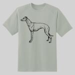 Dry Zone ® Short Sleeve Raglan T Shirt Thumbnail