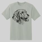 Dry Zone ® Short Sleeve Raglan T Shirt Thumbnail