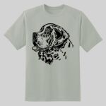 Dry Zone ® Short Sleeve Raglan T Shirt Thumbnail