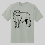 Dry Zone ® Short Sleeve Raglan T Shirt Thumbnail