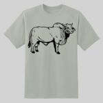 Dry Zone ® Short Sleeve Raglan T Shirt Thumbnail