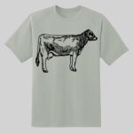 Dry Zone ® Short Sleeve Raglan T Shirt Thumbnail