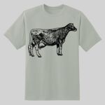 Dry Zone ® Short Sleeve Raglan T Shirt Thumbnail