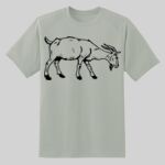 Dry Zone ® Short Sleeve Raglan T Shirt Thumbnail