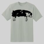 Dry Zone ® Short Sleeve Raglan T Shirt Thumbnail