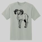 Dry Zone ® Short Sleeve Raglan T Shirt Thumbnail