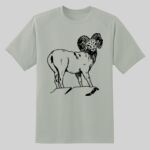 Dry Zone ® Short Sleeve Raglan T Shirt Thumbnail