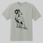 Dry Zone ® Short Sleeve Raglan T Shirt Thumbnail