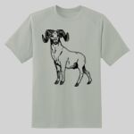 Dry Zone ® Short Sleeve Raglan T Shirt Thumbnail