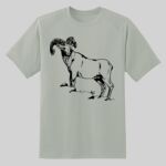 Dry Zone ® Short Sleeve Raglan T Shirt Thumbnail