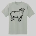 Dry Zone ® Short Sleeve Raglan T Shirt Thumbnail