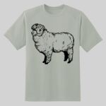 Dry Zone ® Short Sleeve Raglan T Shirt Thumbnail