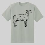 Dry Zone ® Short Sleeve Raglan T Shirt Thumbnail