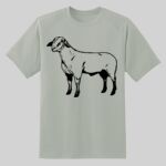 Dry Zone ® Short Sleeve Raglan T Shirt Thumbnail