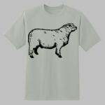 Dry Zone ® Short Sleeve Raglan T Shirt Thumbnail