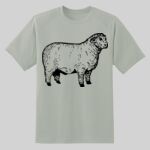 Dry Zone ® Short Sleeve Raglan T Shirt Thumbnail