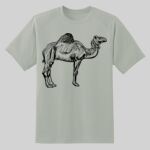 Dry Zone ® Short Sleeve Raglan T Shirt Thumbnail