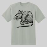 Dry Zone ® Short Sleeve Raglan T Shirt Thumbnail