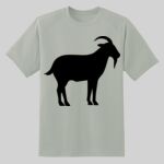 Dry Zone ® Short Sleeve Raglan T Shirt Thumbnail