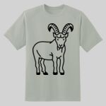 Dry Zone ® Short Sleeve Raglan T Shirt Thumbnail