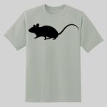 Dry Zone ® Short Sleeve Raglan T Shirt Thumbnail