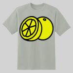 Dry Zone ® Short Sleeve Raglan T Shirt Thumbnail