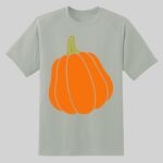 Dry Zone ® Short Sleeve Raglan T Shirt Thumbnail