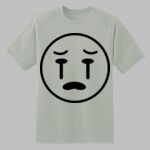 Dry Zone ® Short Sleeve Raglan T Shirt Thumbnail
