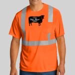 Ansi 107 Class 2 Mesh Tee Thumbnail