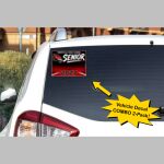 Spirit Sticker (2-Pack) Thumbnail