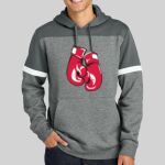 Drive Fleece Colorblock Hoodie Thumbnail