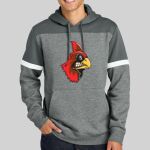 Drive Fleece Colorblock Hoodie Thumbnail