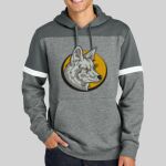 Drive Fleece Colorblock Hoodie Thumbnail