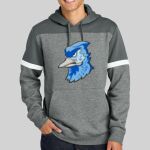 Drive Fleece Colorblock Hoodie Thumbnail
