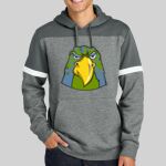 Drive Fleece Colorblock Hoodie Thumbnail