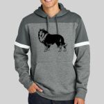 Drive Fleece Colorblock Hoodie Thumbnail