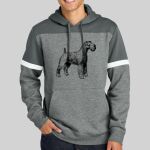 Drive Fleece Colorblock Hoodie Thumbnail