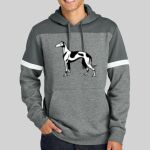 Drive Fleece Colorblock Hoodie Thumbnail