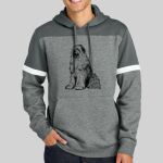 Drive Fleece Colorblock Hoodie Thumbnail