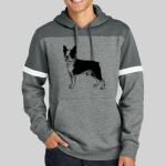 Drive Fleece Colorblock Hoodie Thumbnail