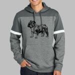 Drive Fleece Colorblock Hoodie Thumbnail